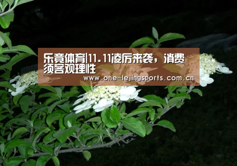 乐竟体育|11.11凌厉来袭,消费须客观理性(图2) 乐竟体育