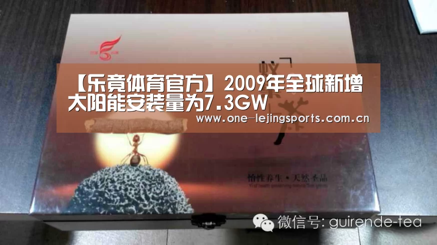 【乐竟体育官方】2009年全球新增太阳能安装量为7.3GW(图2) 乐竟体育官方