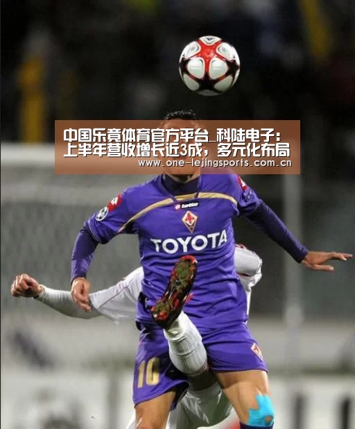 乐竟体育