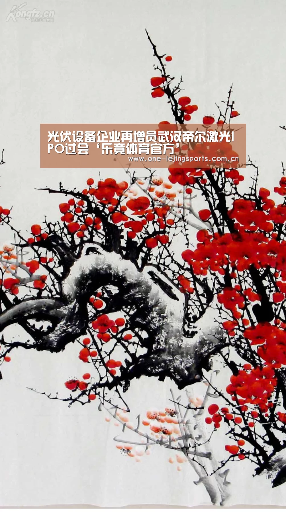 光伏设备企业再增员武汉帝尔激光IPO过会‘乐竟体育官方’(图3) 乐竟体育