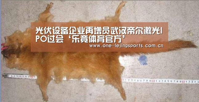 光伏设备企业再增员武汉帝尔激光IPO过会‘乐竟体育官方’(图4) 乐竟体育