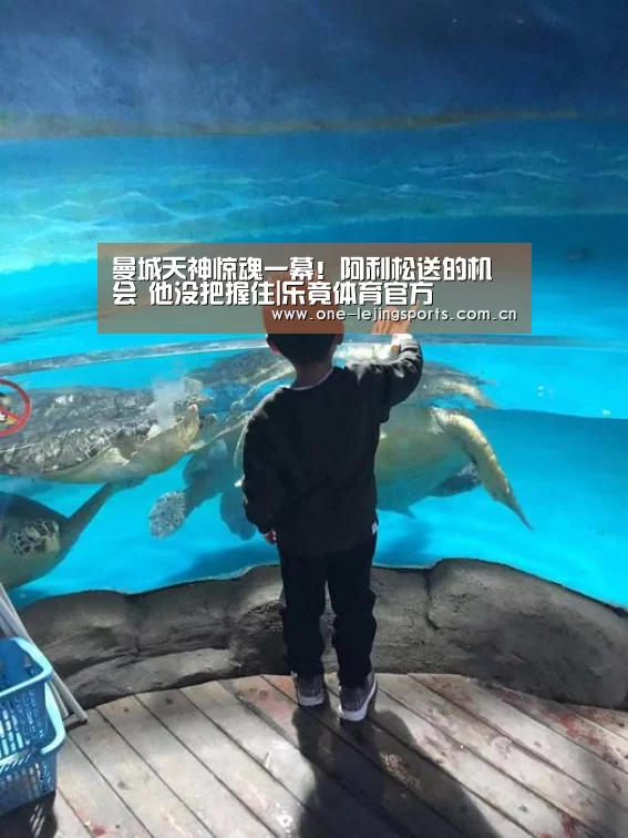 中国乐竟体育官方平台