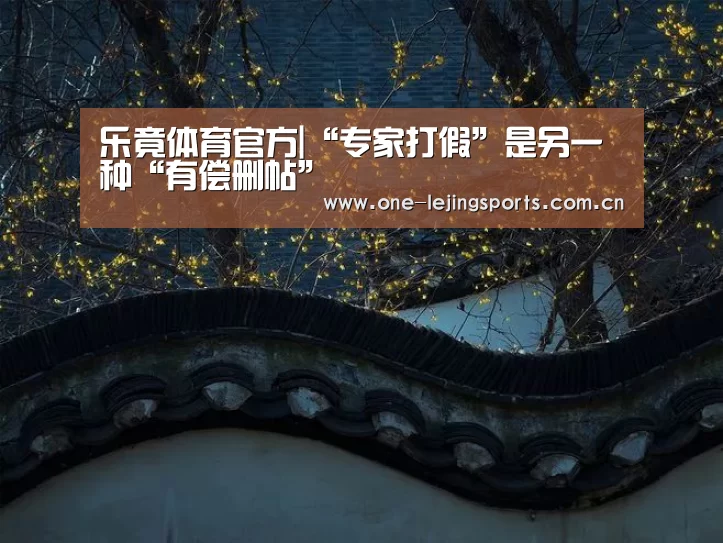 乐竟体育
